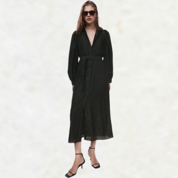 Zara Metallic Tinsel Chevron Balloon Sleeves Button Down Collar Midi Dress sz M - Picture 3 of 16